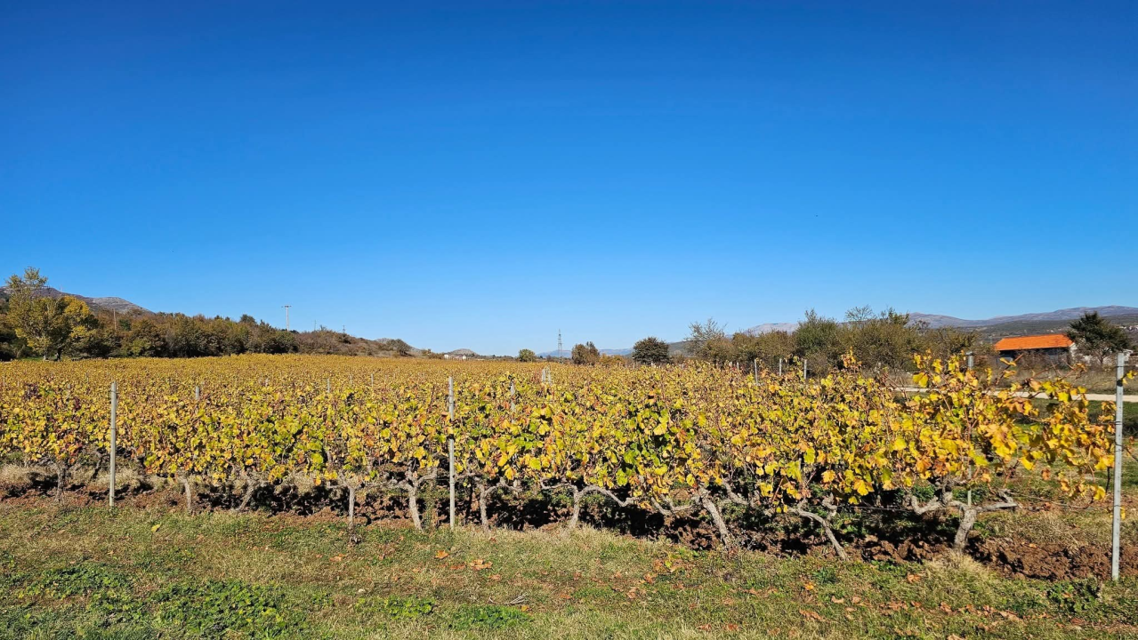 Drniško zaleđe u jesenskim bojama
