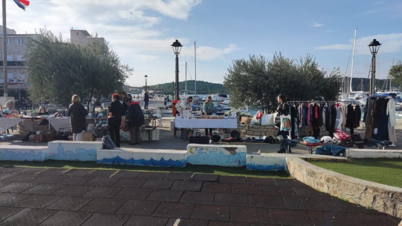 Pirovački buvljak za sterilizaciju i kastraciju mačaka