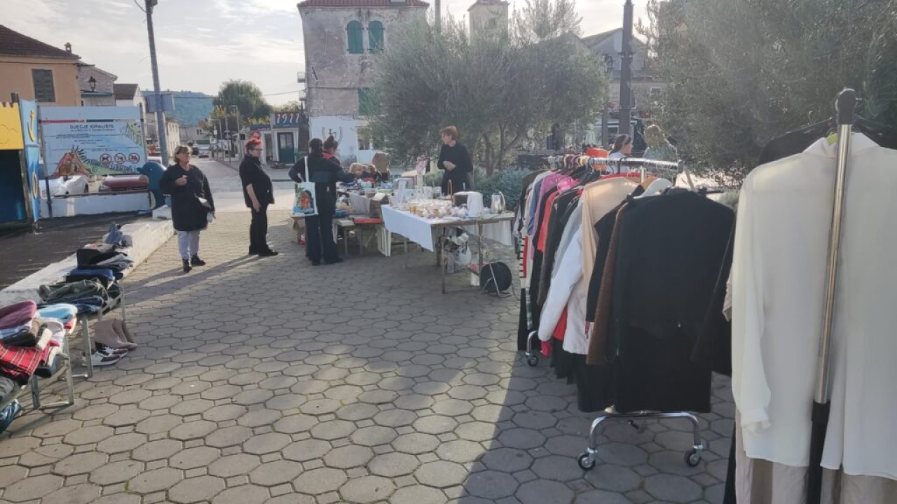 Održan humanitarni buvljak za pirovačke mačke: Sav prihod ide za njihovu kastraciju i sterilizaciju