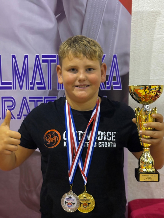 Dalmatinska karate liga