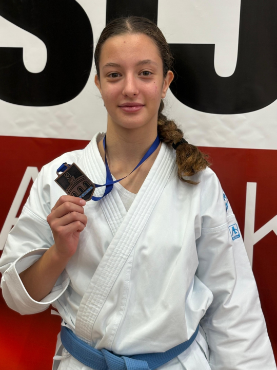 Dalmatinska karate liga
