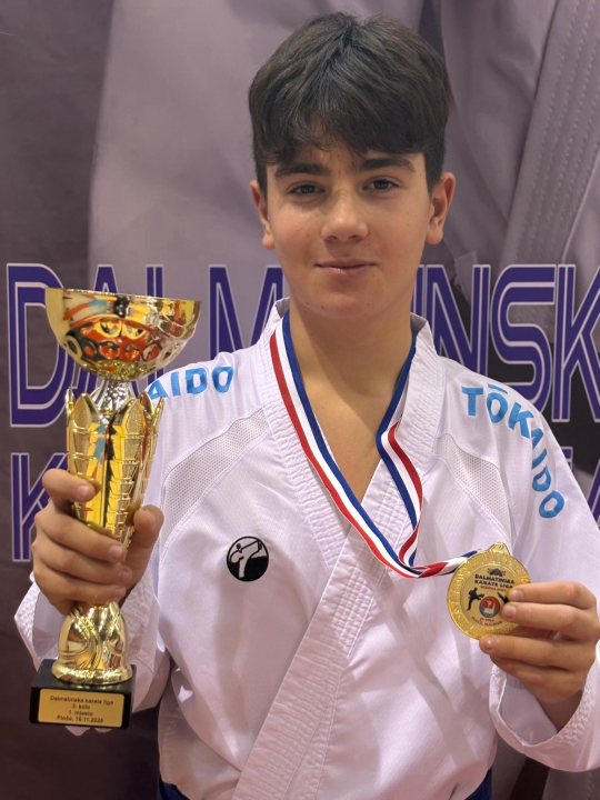 Dalmatinska karate liga