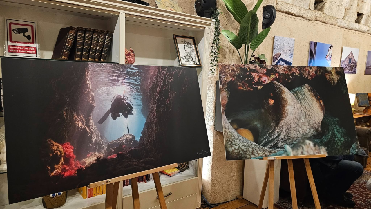 U Azimutu otvorena izložba 'Podmorje'