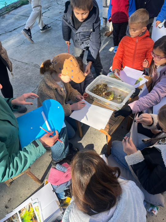 Centar za istraživanje mora, voda i obale u Rogoznici održao edukativne radionice za djecu