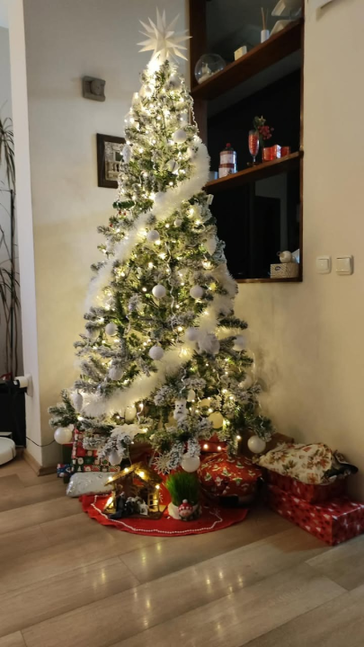 Odluka je pala: Donosimo vam pobjednike izbora najljepše božićne jelke ŠibenikIN-a