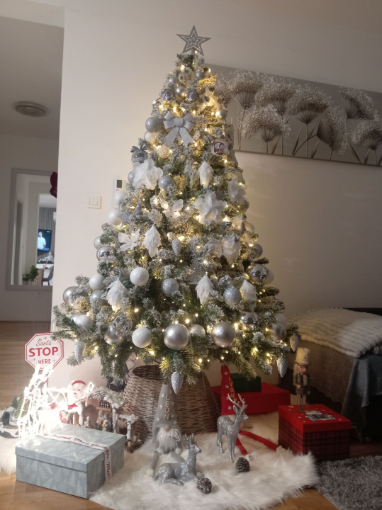 Odluka je pala: Donosimo vam pobjednike izbora najljepše božićne jelke ŠibenikIN-a