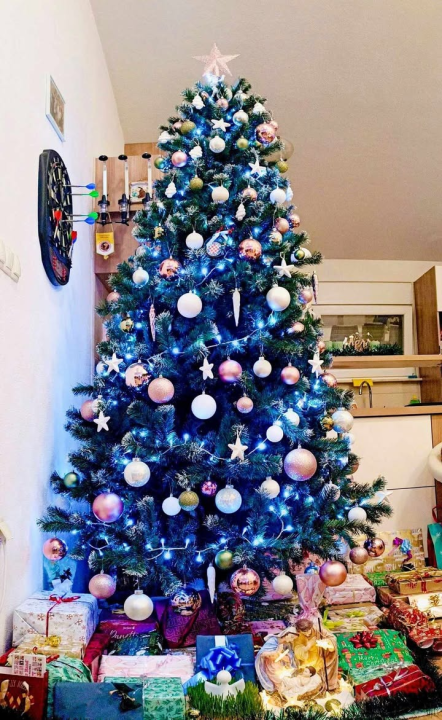 Odluka je pala: Donosimo vam pobjednike izbora najljepše božićne jelke ŠibenikIN-a