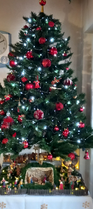 Odluka je pala: Donosimo vam pobjednike izbora najljepše božićne jelke ŠibenikIN-a