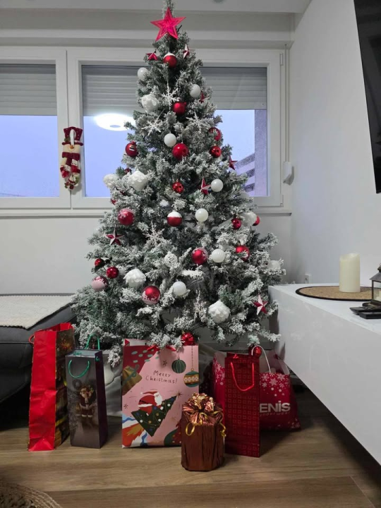 Odluka je pala: Donosimo vam pobjednike izbora najljepše božićne jelke ŠibenikIN-a