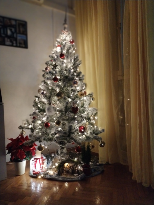 Odluka je pala: Donosimo vam pobjednike izbora najljepše božićne jelke ŠibenikIN-a