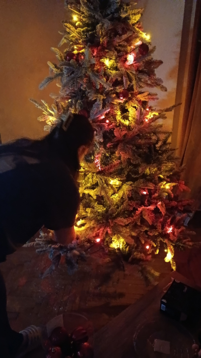 Odluka je pala: Donosimo vam pobjednike izbora najljepše božićne jelke ŠibenikIN-a