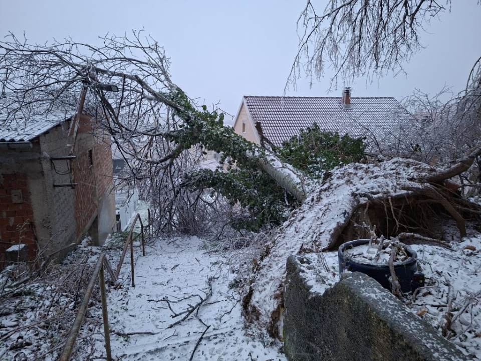 Scene iz zaleđenog Knina: Stablo u Ujevićevoj ulici iščupano iz korijena, električni vodovi prekinuti