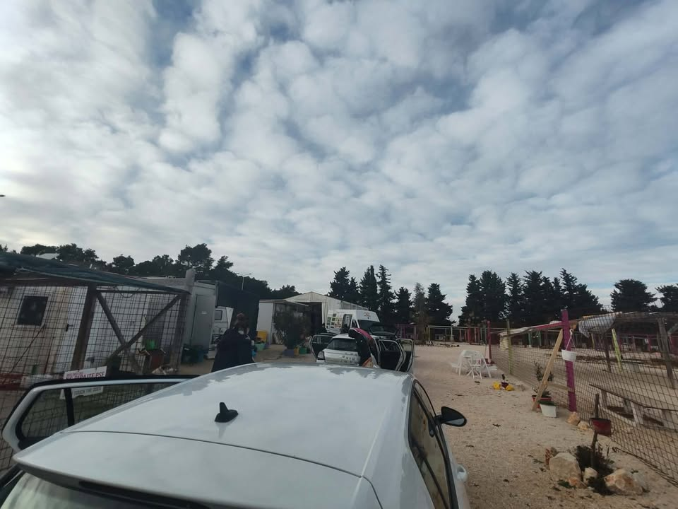 FOTO Kad je već neće u šibenskom AS Eku…Hrana za pse stigla u kninski i zadarski azil