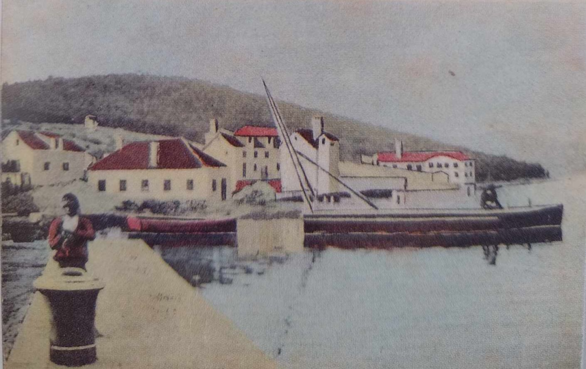 Grupa koja čuva dušu mjesta: Više od 2500 članova svakodnevno oživljava povijest Rogoznice