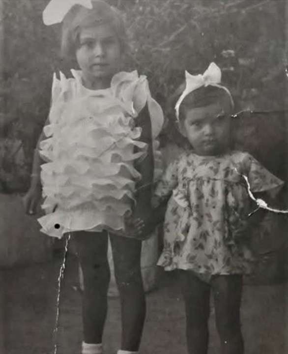 Grupa koja čuva dušu mjesta: Više od 2500 članova svakodnevno oživljava povijest Rogoznice