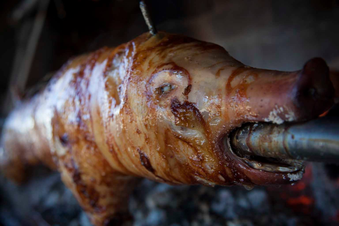 Nevjerojatna priča iz šibenskog zaleđa: 'Kod Pere' svi dolaze zbog jedne stvari