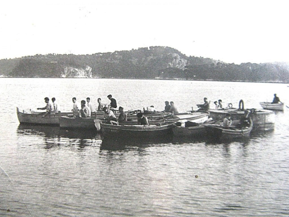 Šibenski bonkulović: Dolačke bugve na gradele