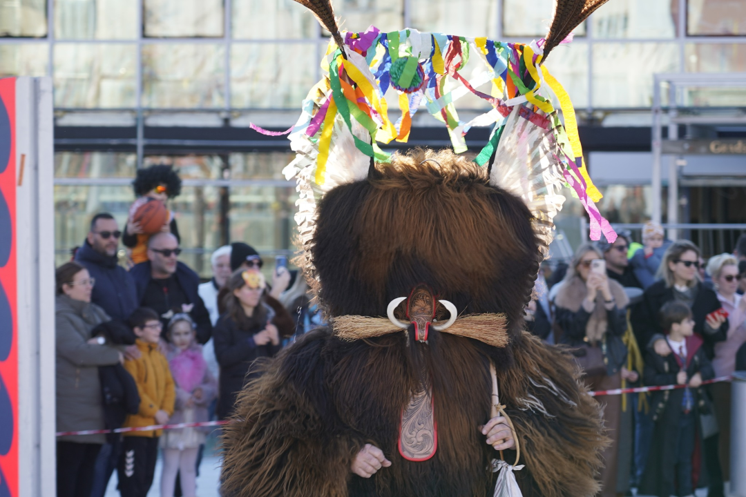 Maškare u Šibeniku