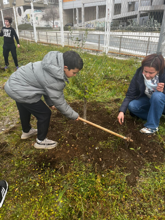  ‘Jedno stablo – jedan dom’