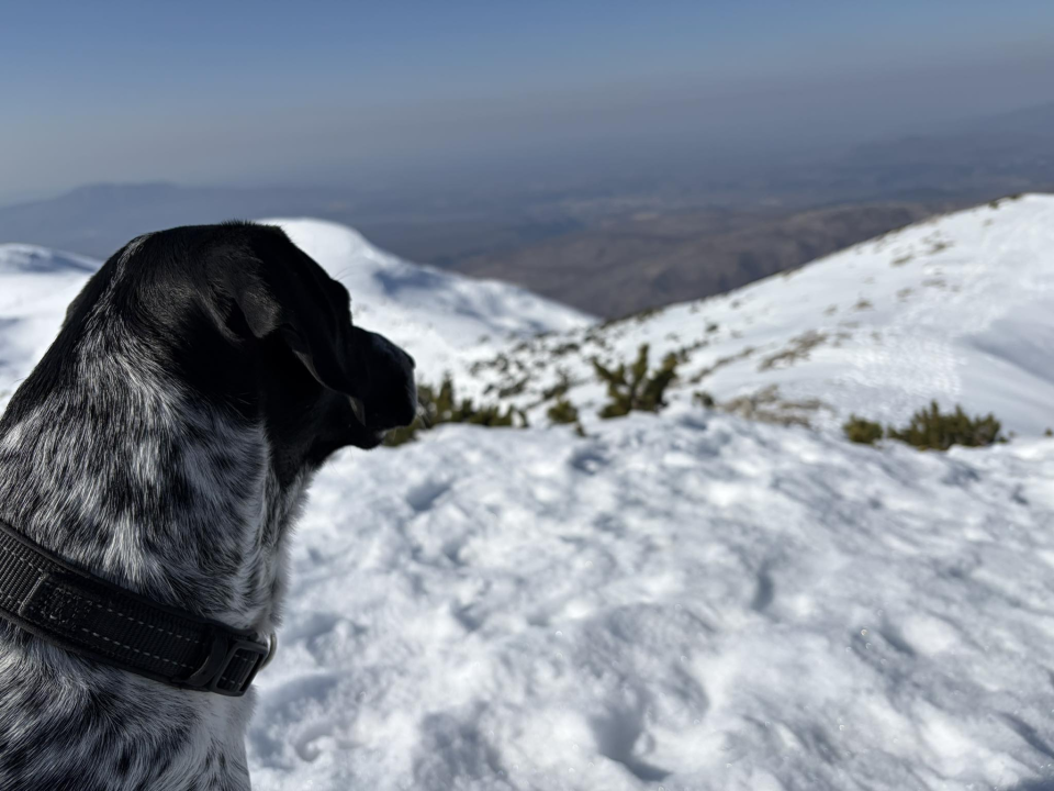 Pozdrav s najvišeg vrha Hrvatske na Dinari: 'Snijeg, sunce i pogled koji se pamti cijeli život'