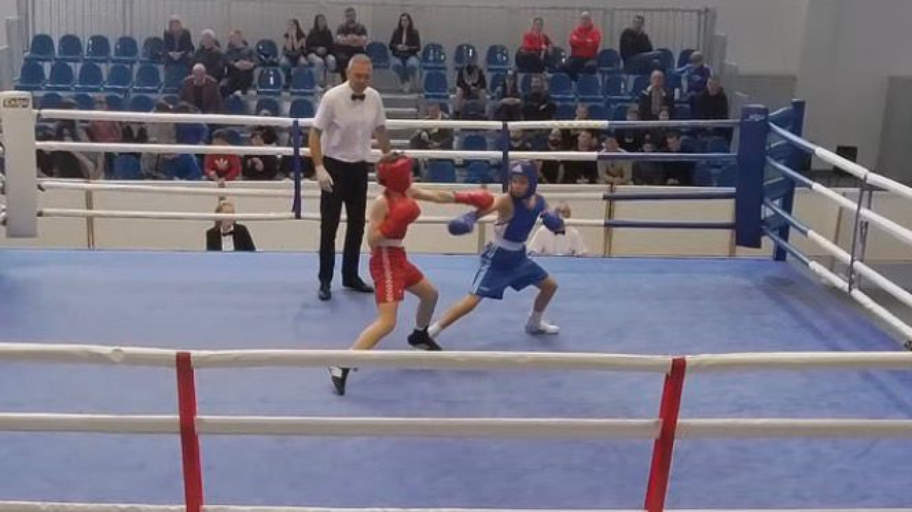 Kninski boksači osvojili tri medalje na Prvenstvu Hrvatske