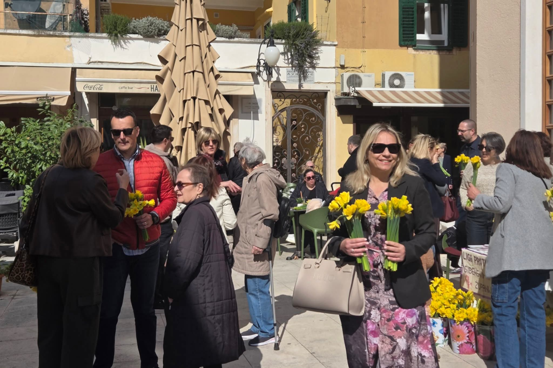 Šibensko-kninska županija obilježila Dan narcisa: Rano otkrivanje raka ključ za izlječenje