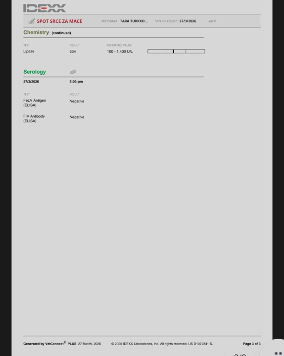 Volonterke pronašle macu u jako lošem stanju na šetnici prema Banju: 'Kako joj ne pokušati pomoći'