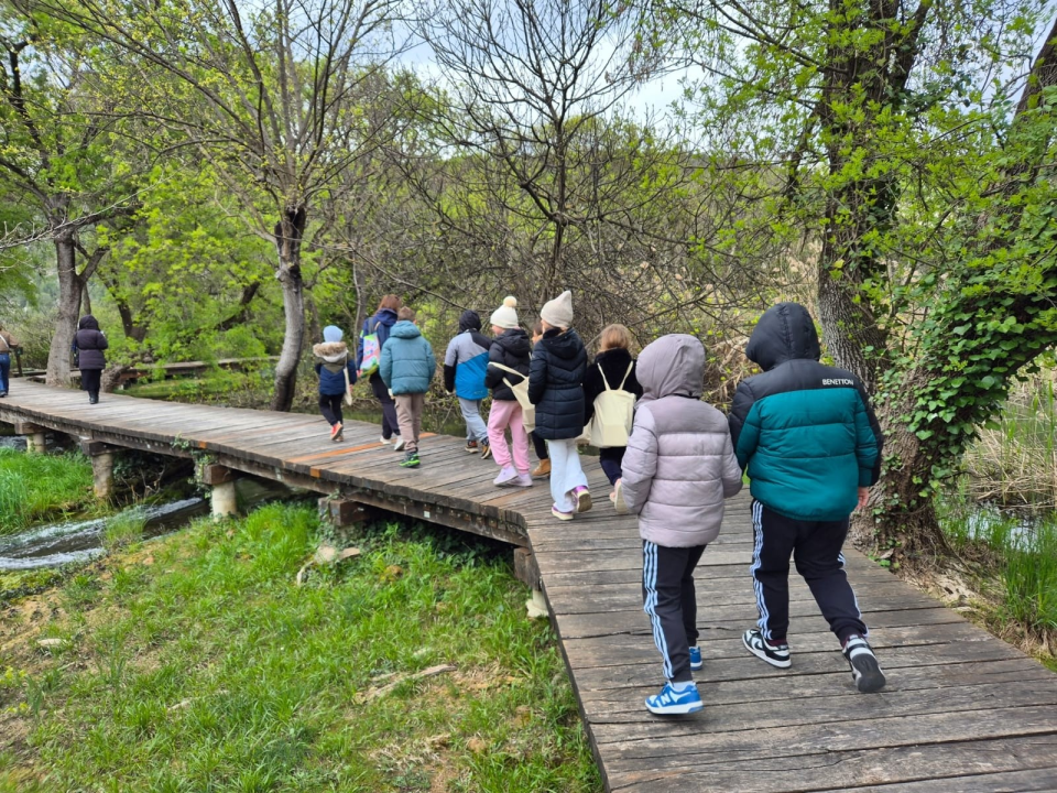 Šumska radionica u NP Krka