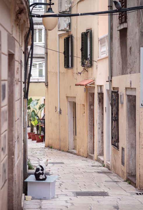 FOTO Đir po gradu, srijeda 1. travnja