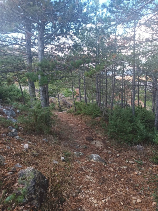 Vandali opet uništili markacije na Promini: 'Frustracijama nije mjesto na planinarskim stazama'