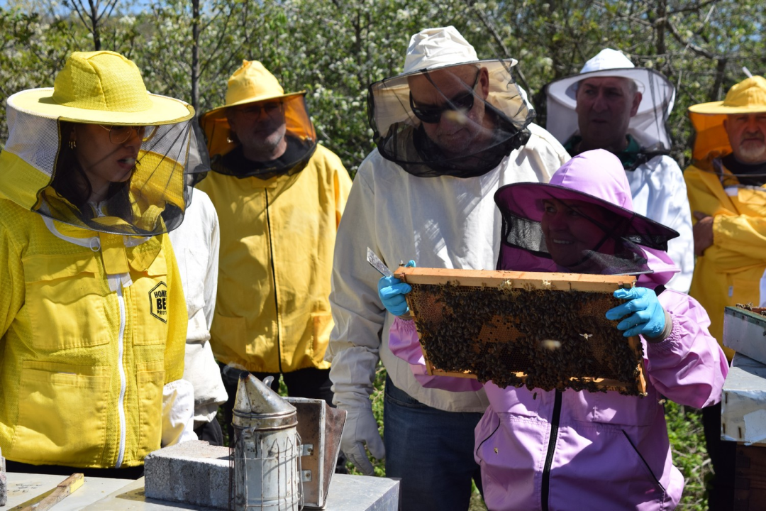 Pčelari s područja rijeke Krke usavršavali svoja znanja