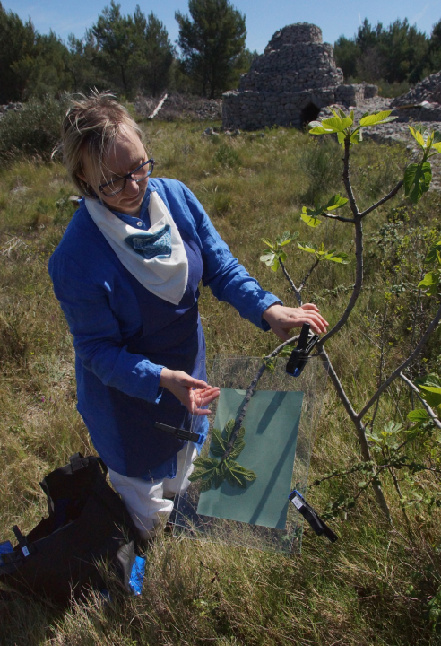 Domaćinova bunja ugostila izložbu II. nomadskog cijanotipskog laboratorija
