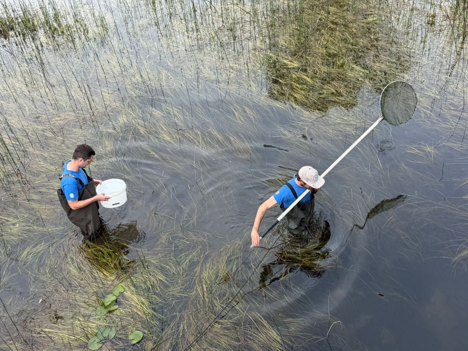 Provedena akcija izlova strane i invazivne ribe s područja Nacionalnog parka Krka