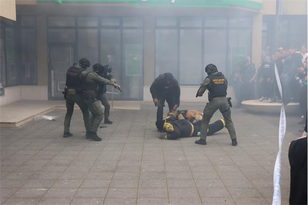 Policija u Šibeniku i Kninu održala Dane otvorenih vrata: Službeni psi Lara i Tigar opet glavne zvijezde