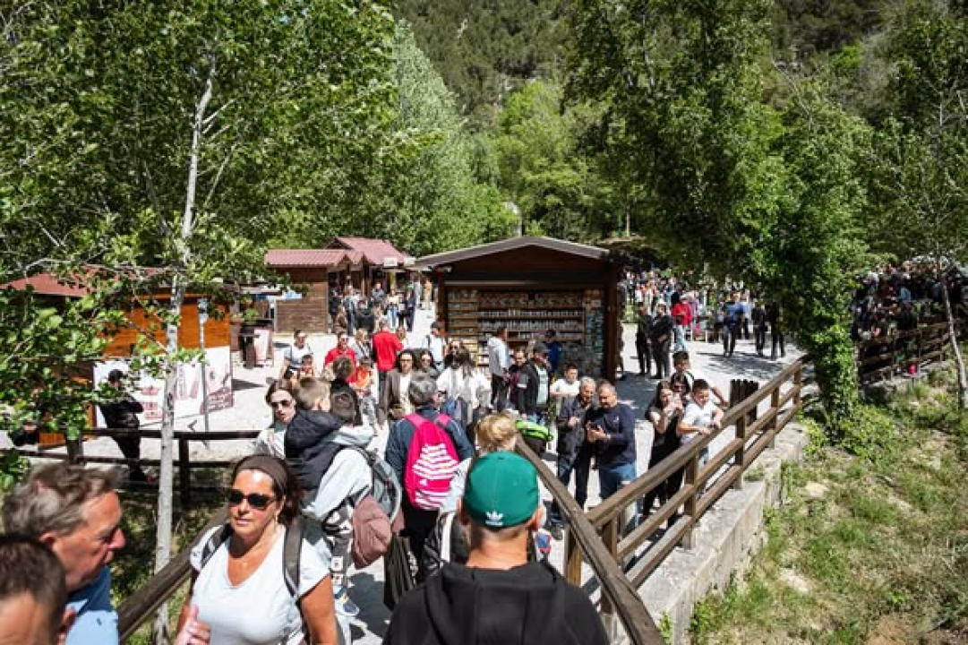 Podijeljeno 2000 porcija fažola i 1500 autohtonih i medonosnih sadnica u NP Krka