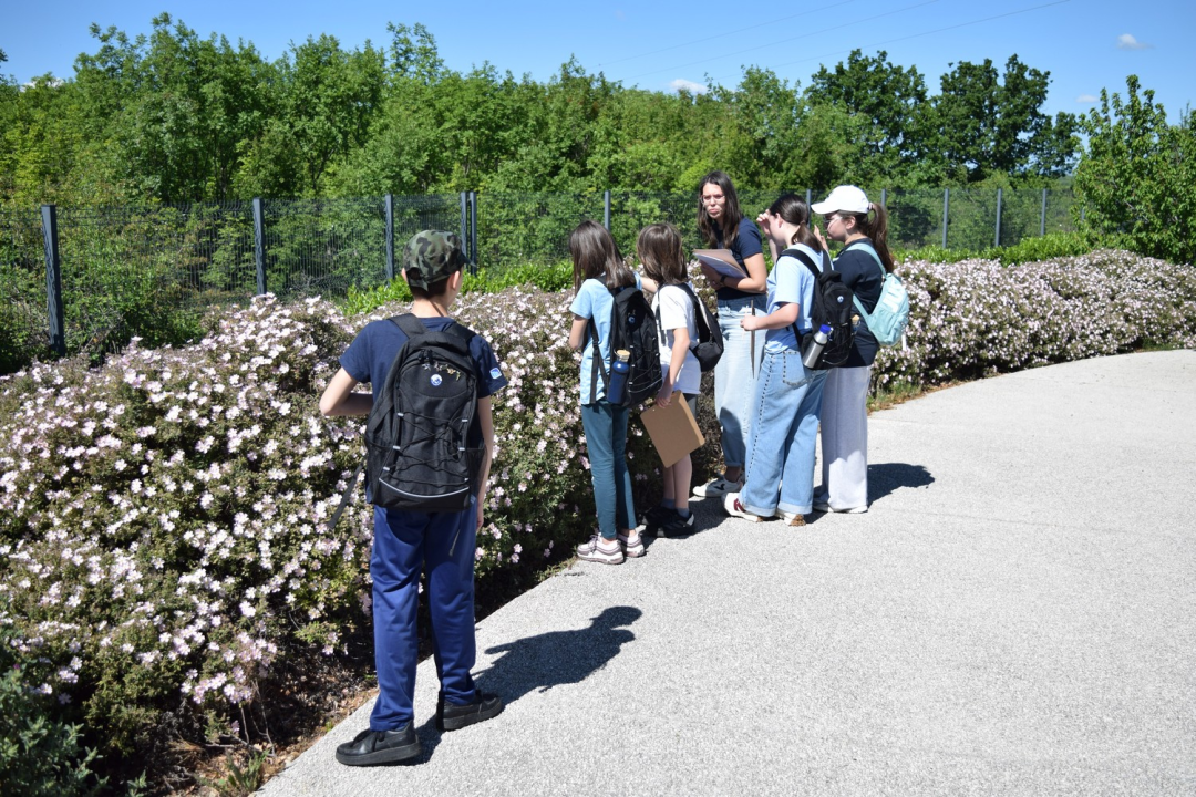 Junior Rangeri u NP Krka učili kako zaštititi oprašivače