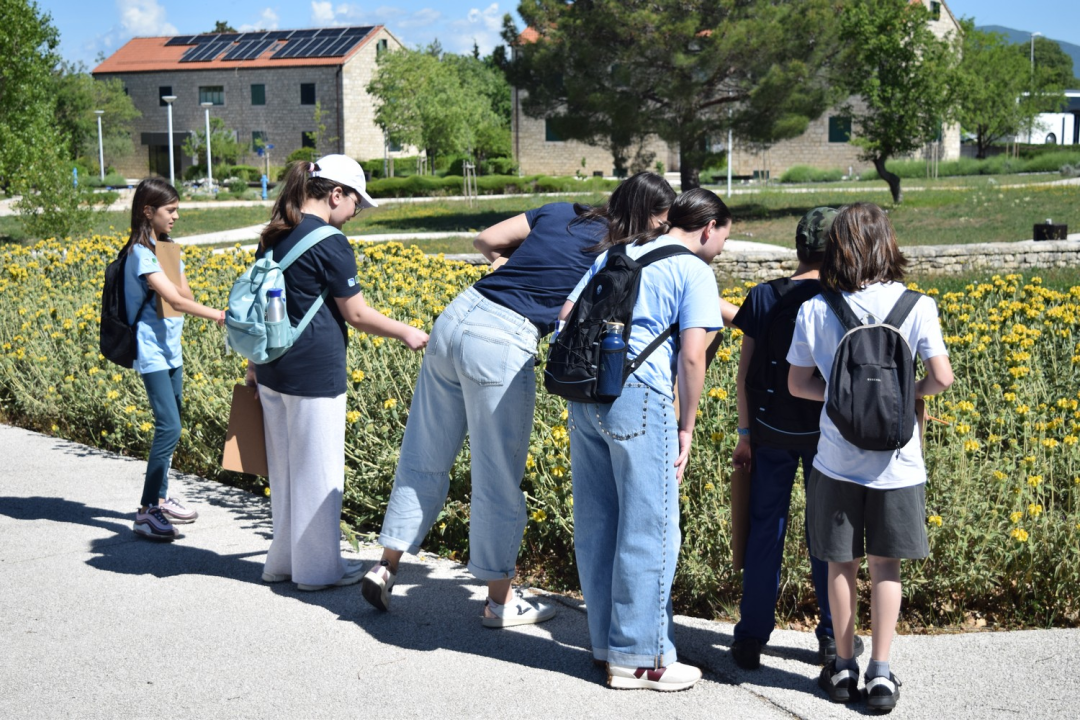 Junior Rangeri u NP Krka učili kako zaštititi oprašivače