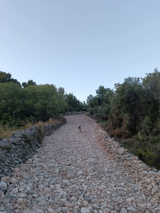 Od Stublja do Šparadića: Bilice ulaze u ljeto s uređenijim ulicama, plažama i javnim površinama
