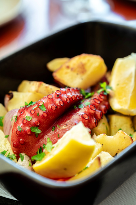 FOTO Od domaće kuhinje do modernih zalogaja: Prošetali smo Šibenikom i pronašli mjesta koja vrijedi staviti na gastro kartu