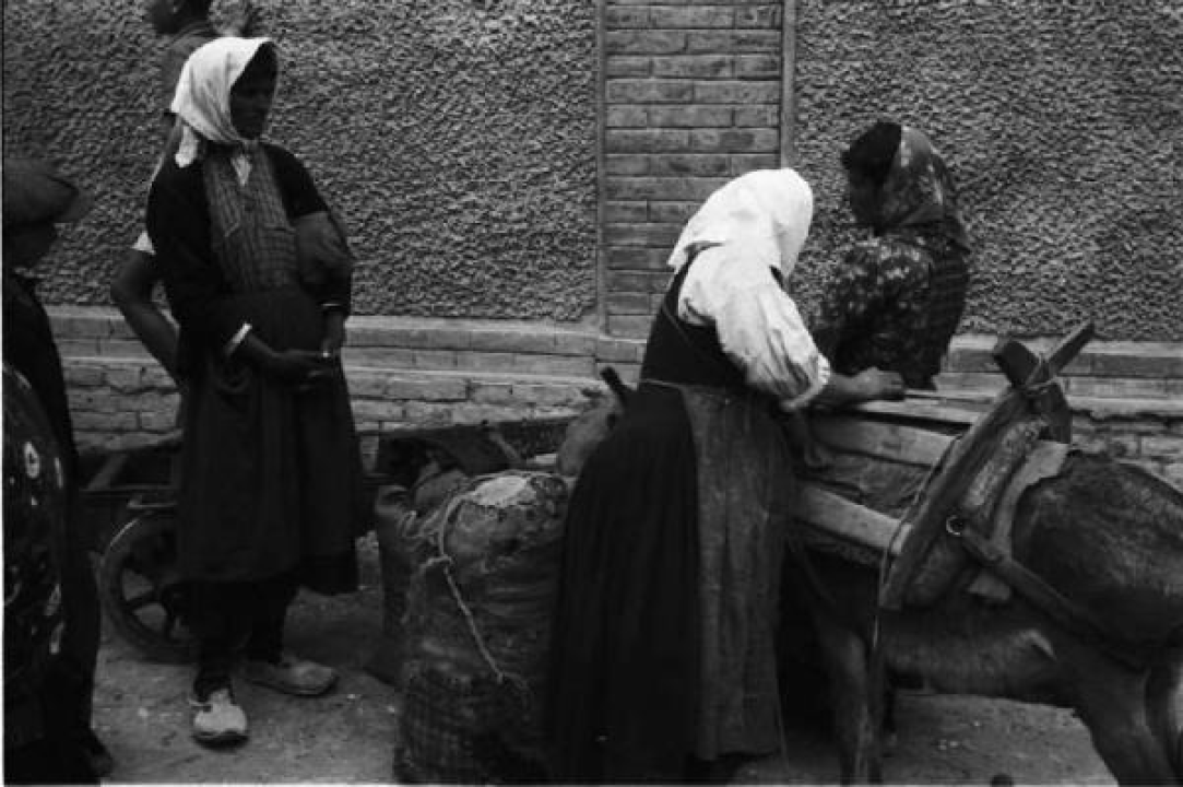 Otkriveno fotografsko blago: Pogledajte fascinante prizore života Šibenčana burne 1941. godine