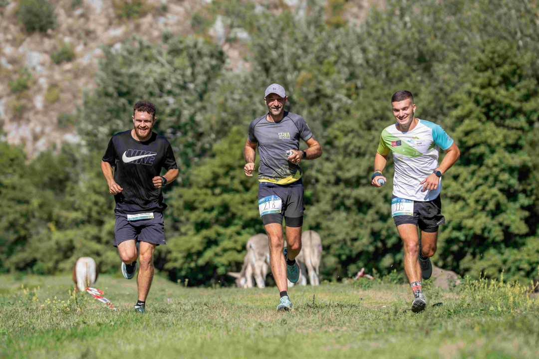 Kad Knin postane velika outdoor pozornica: uspješno završio Dalmatia Šibenik Outdoor Festival!