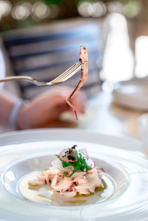 FOTO Što se jede u centru Šibenika? Posjetili smo četiri restorana i probali njihove specijalitete