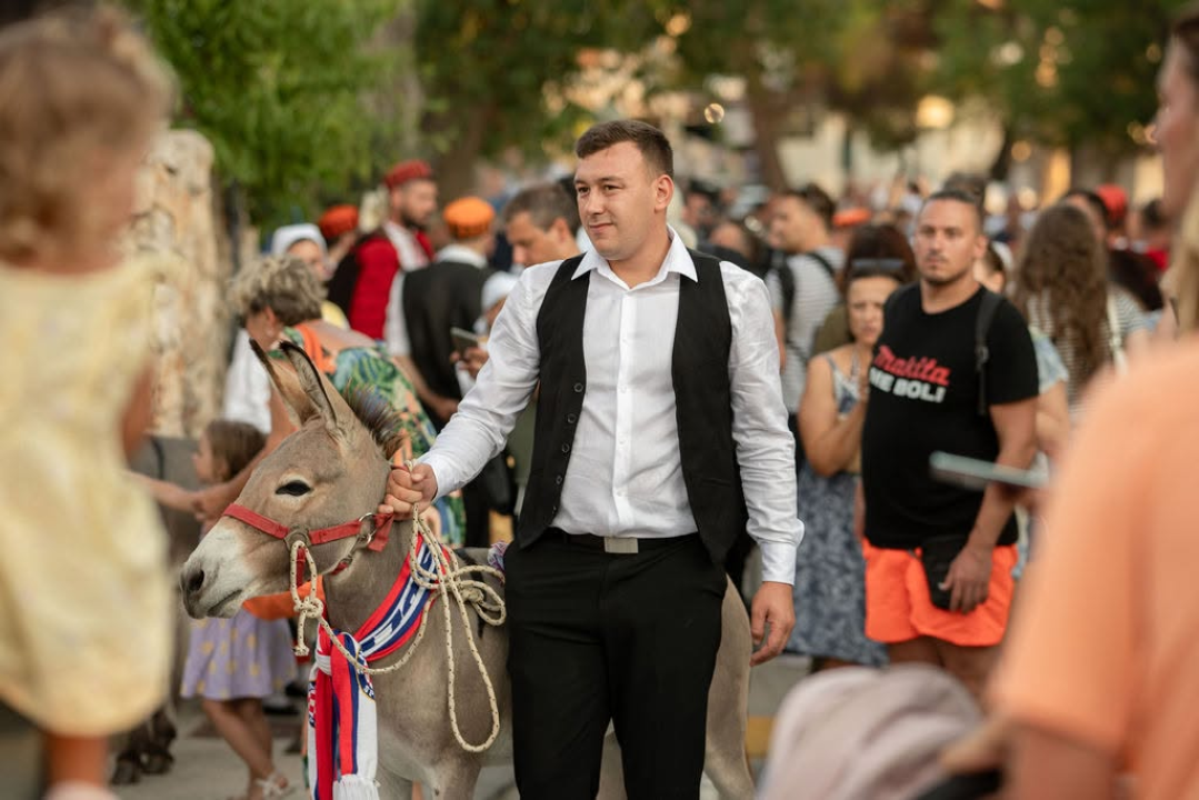 59. Tribunjske magareće trke