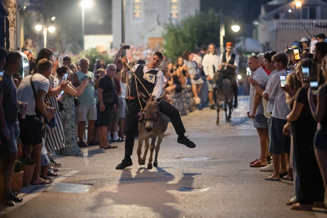 59. Tribunjske magareće trke