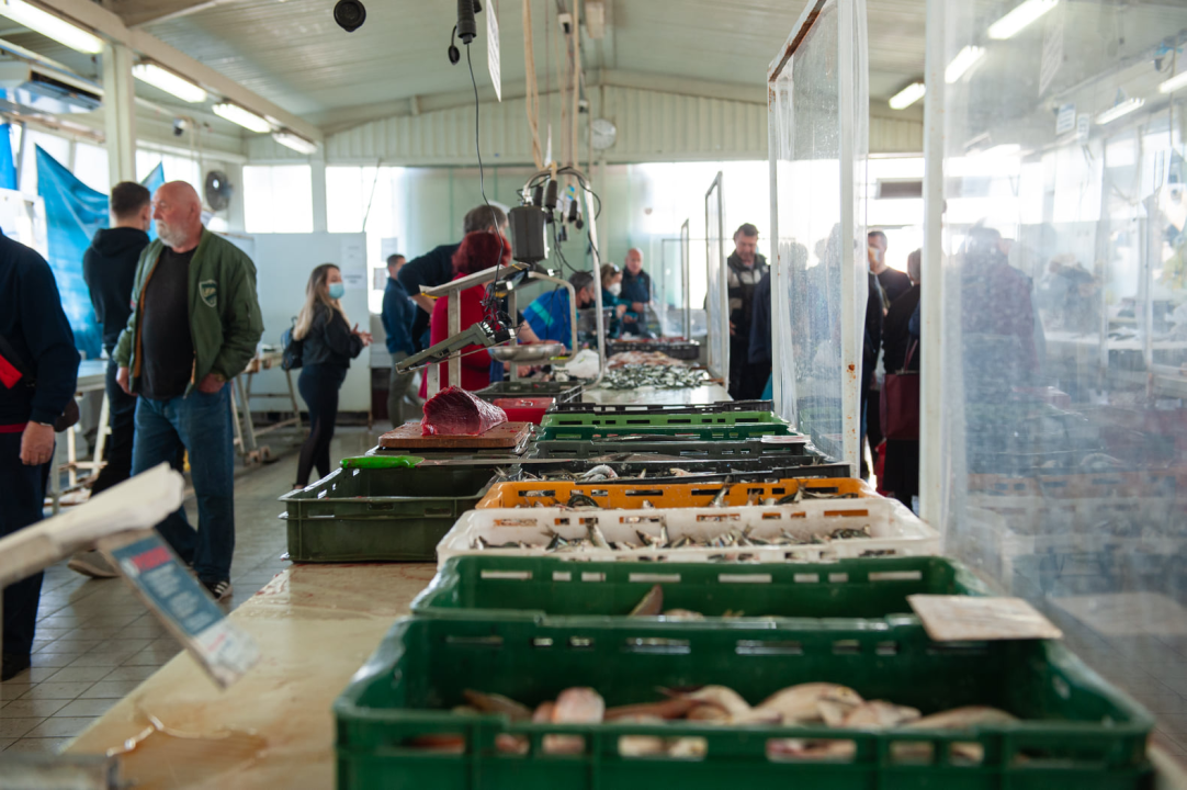 Đir po ribarnici na Veliki petak: 'Uvik je na današnji dan bila gužva, čekalo se u redu za uć po dobru ribu, a vidi sad, ništa'