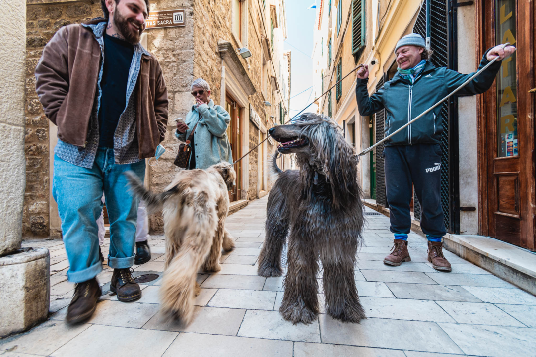 Kuni i Santos oličenje su elegancije i dramatičnosti, ali i jedna od najstarijih pasmina koja je lovila leoparde