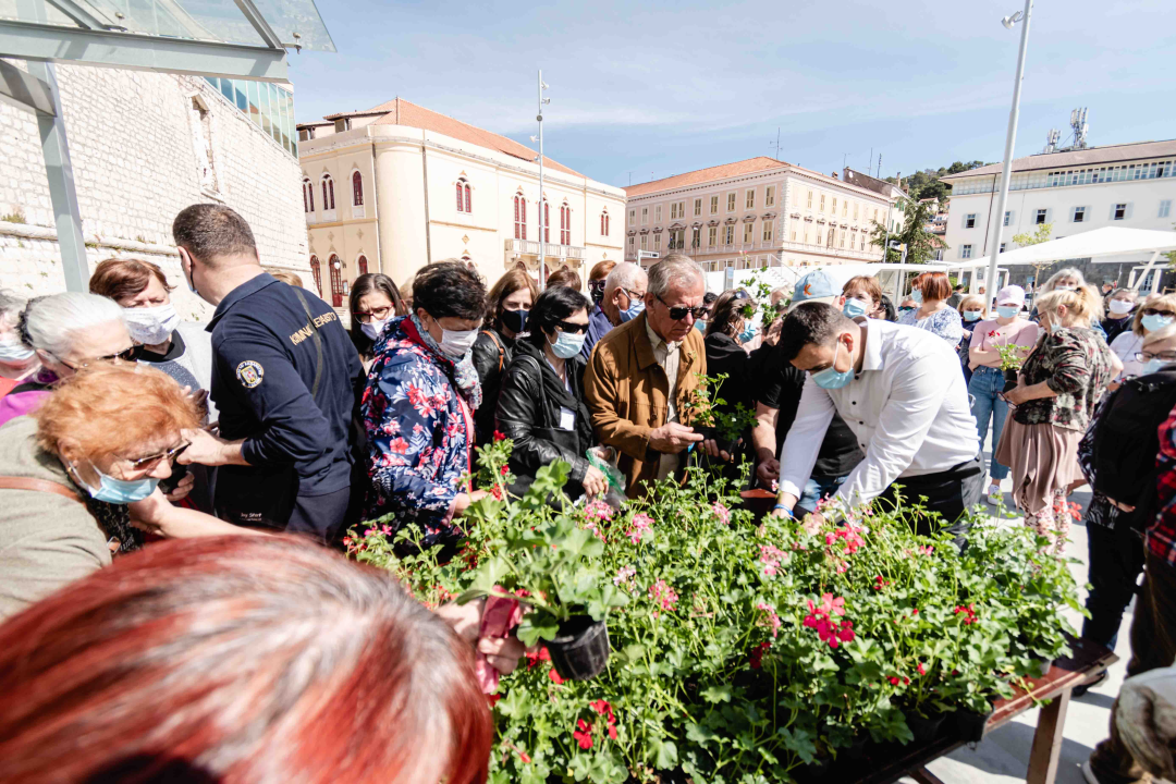 Umirovljenički stampedo za sadnice đirana na Poljani: ‘Gužva je veća za cvijeće nego za cijepljenje’
