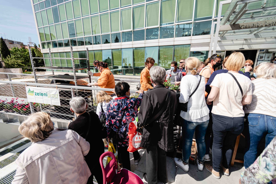 Umirovljenički stampedo za sadnice đirana na Poljani: ‘Gužva je veća za cvijeće nego za cijepljenje’