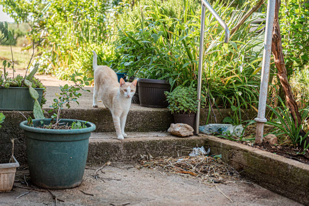 Reportaža iz epicentra: 'Doživio sam i dosad potrese, ali nikad ovako jak. Ne možeš na ovo biti spreman' 