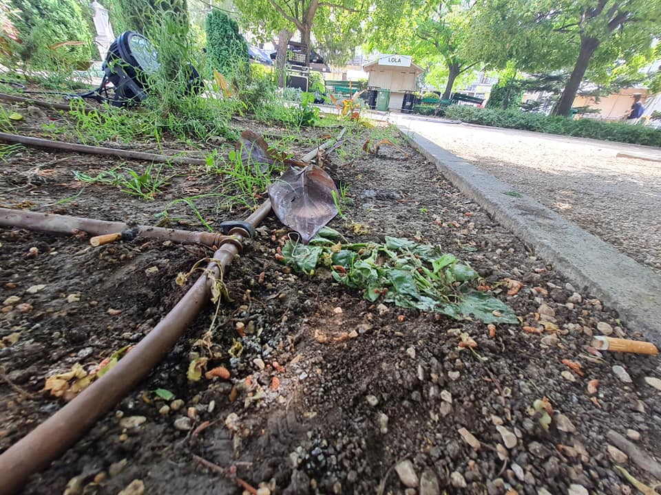 Pripazite na cvijeće: Nakon samo jedne večeri zabave u đardinu,  nedavno posađene biljke već su izgažene 